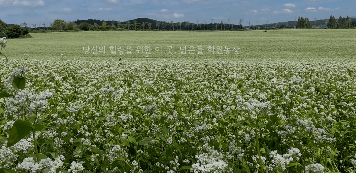 고창 학원 농장 입장료 총정리 관련사진