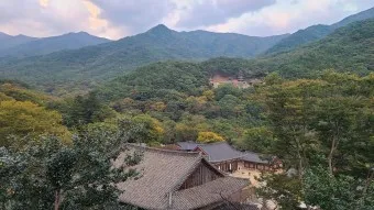 구례 가볼만한곳 베스트10 장터 현지인 맛집_7