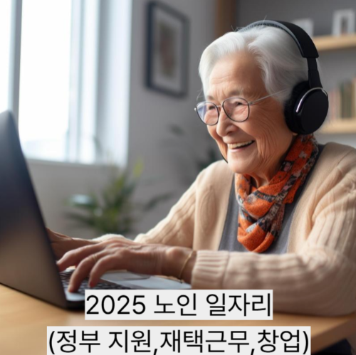 2025 노인 일자리(정부 지원,재택근무,창업)