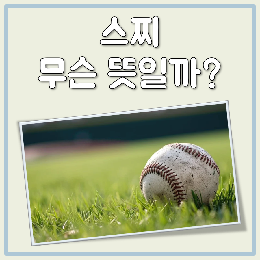 스찌 뜻 대표 이미지