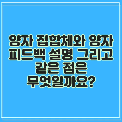 양자 집합체와 양자 피드백 설명 그리고 같은 점은 무엇일까요?