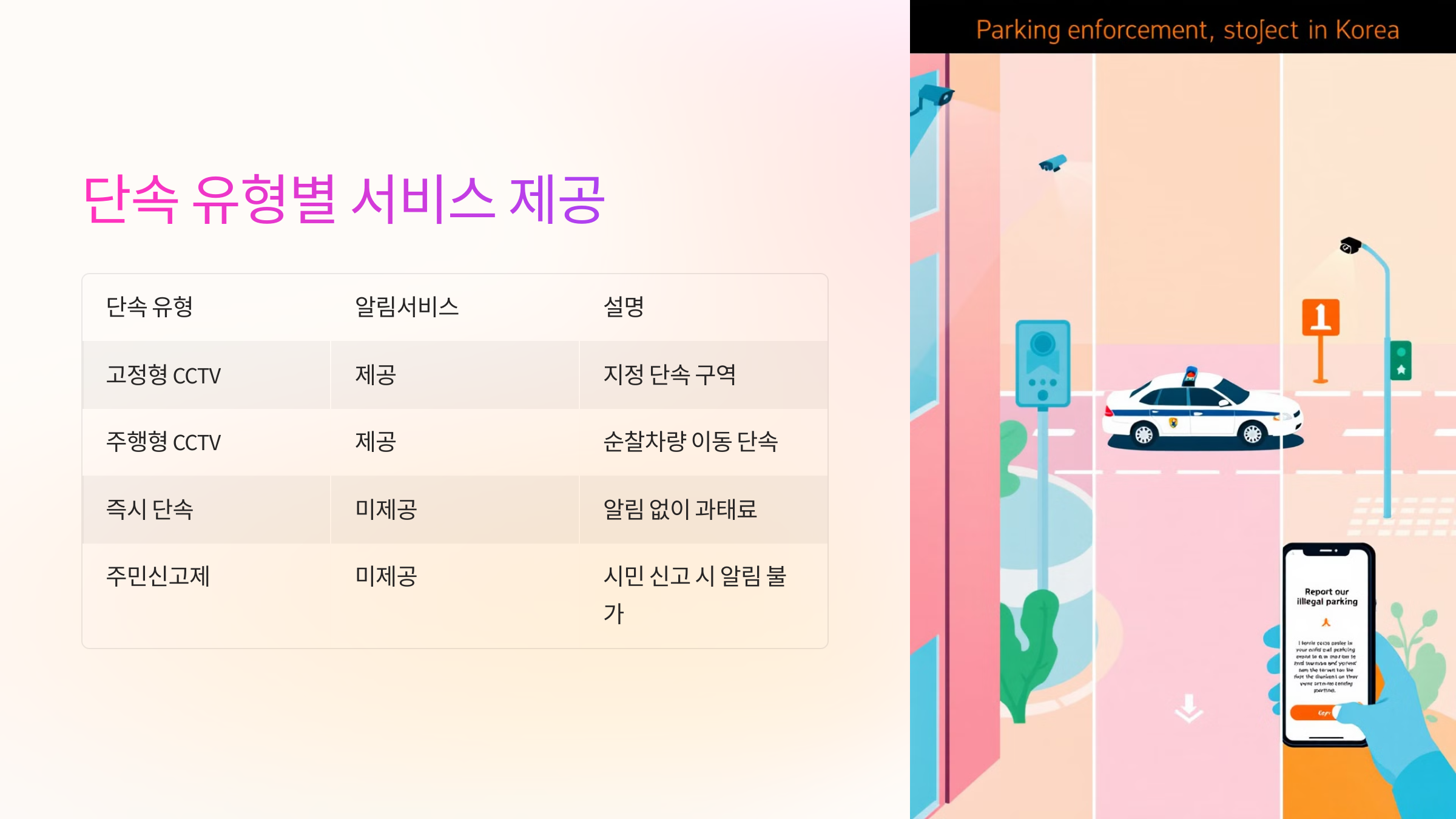 📊 단속 유형 및 서비스 제공 여부