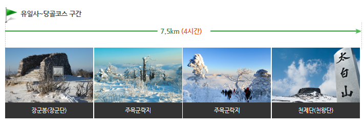 태백산 산행코스, 유일사3