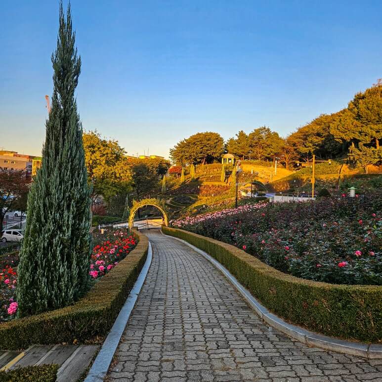 가을 감성 폭발! 인천&middot;부천 단풍 포토존 &amp; 인생샷 명소 추천