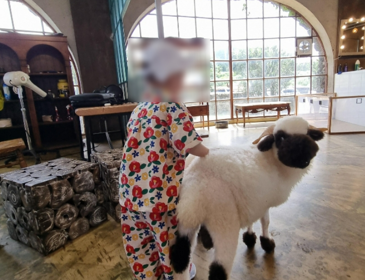 위생적인 실내 공간과 청결한 검은 양