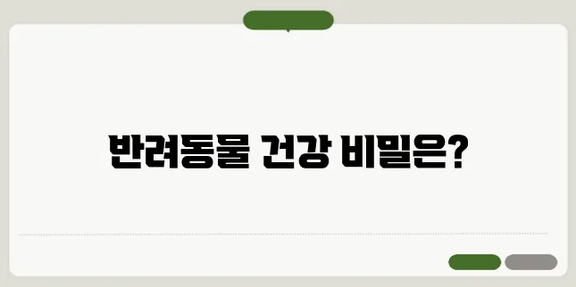 강아지와 고양이를 위한 변비약과 반려동물 영양제, 갈락토스펫을 추천합니다!