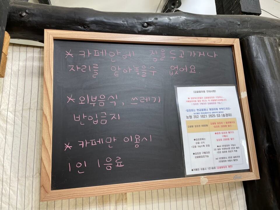 제주-여행-놀거리-추천