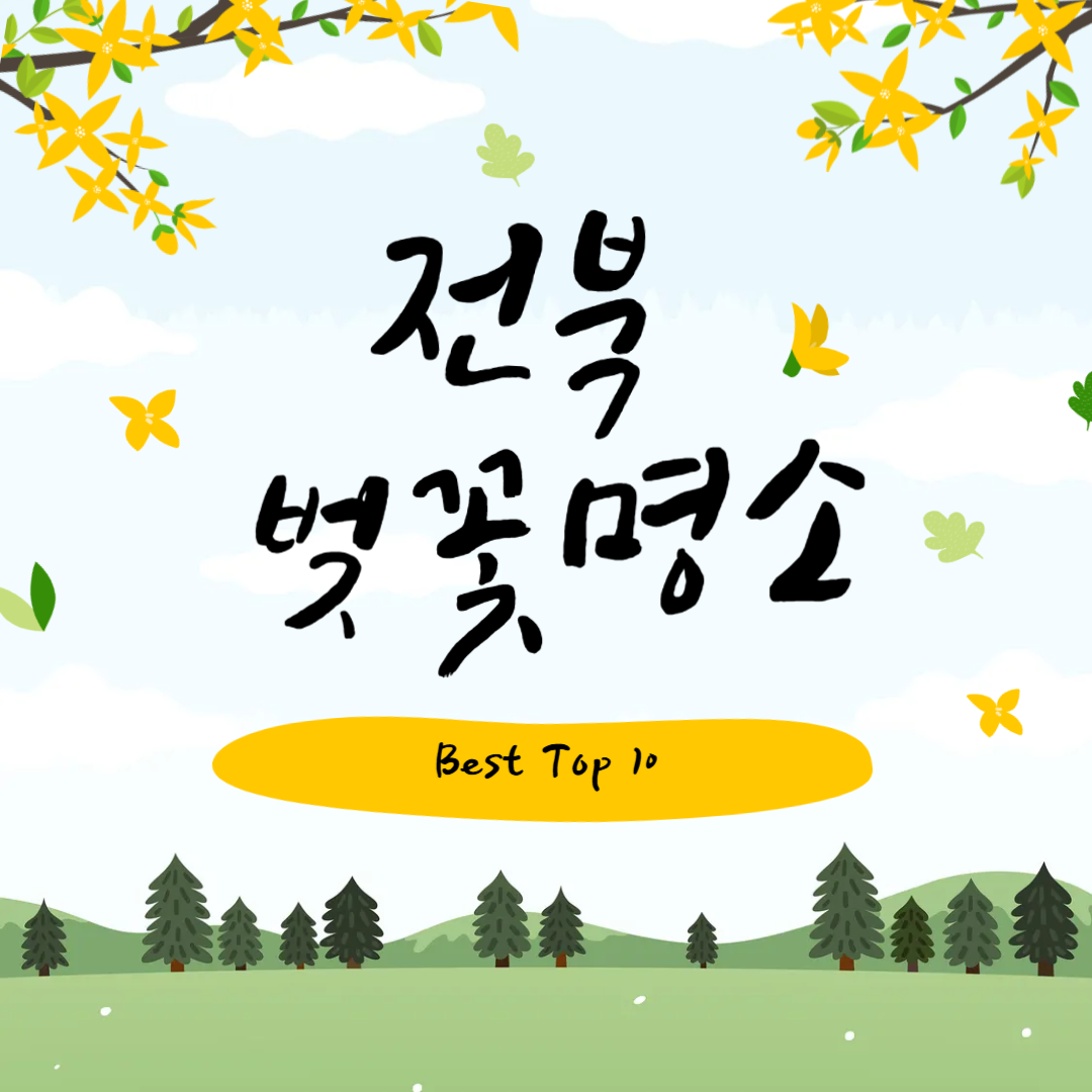 전북 벚꽃 명소 베스트10 드라이브코스 꿀팁 정리