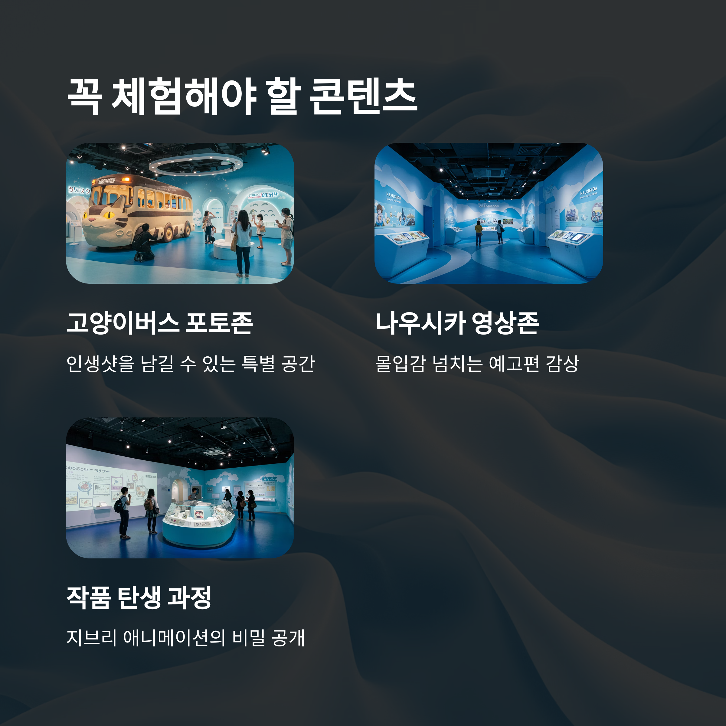 체험 콘텐츠 하이라이트