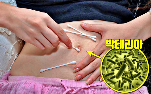 세균 많은 곳 신체부위,배꼽