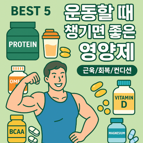 운동시 베스트 영양제
