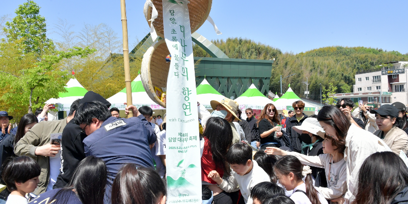 담양 대나무축제 