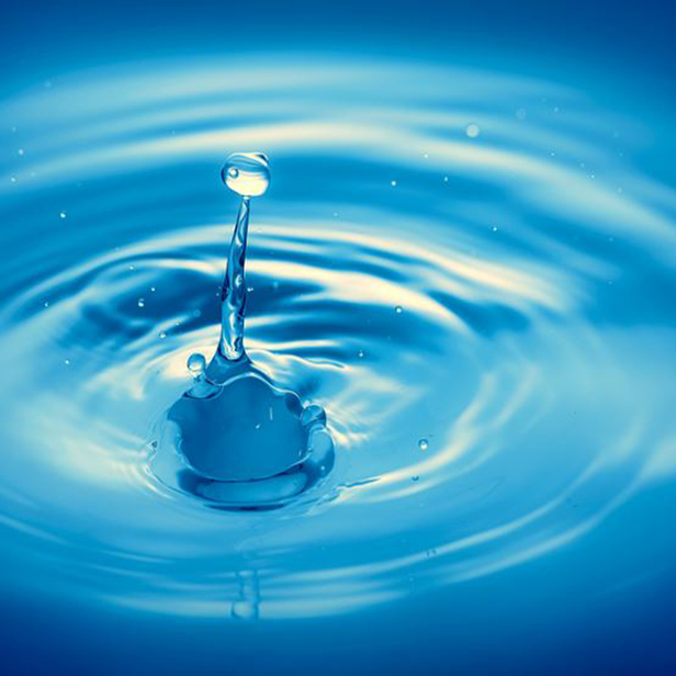 글루타치온 효능