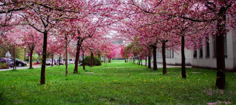 고양 창릉 3기 신도시, 투자 포인트는 이것이다