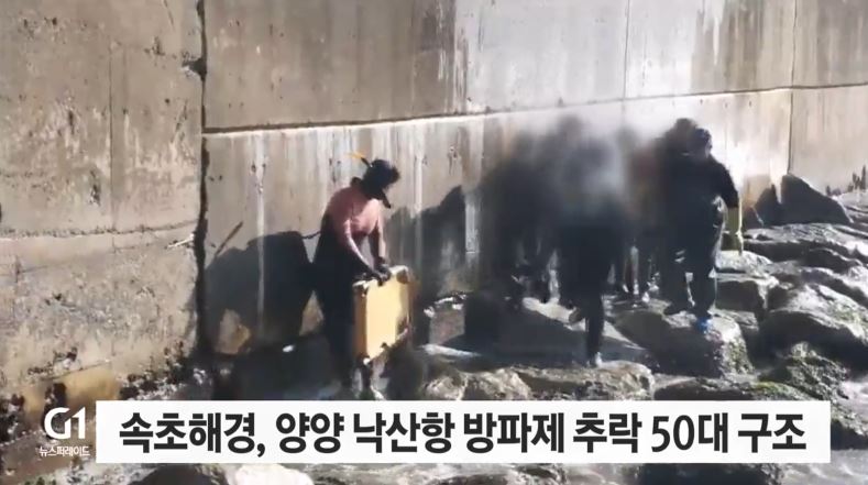 낙산항 추락사고 50대 여성 탤런트 A 누구 동료 배우 B 조성규