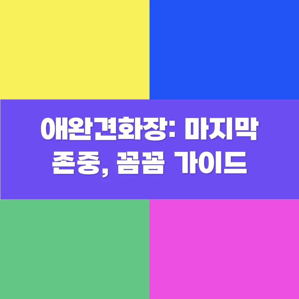 썸네일 이미지