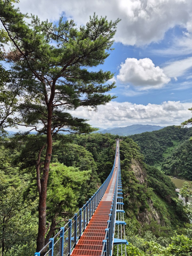 출렁다리