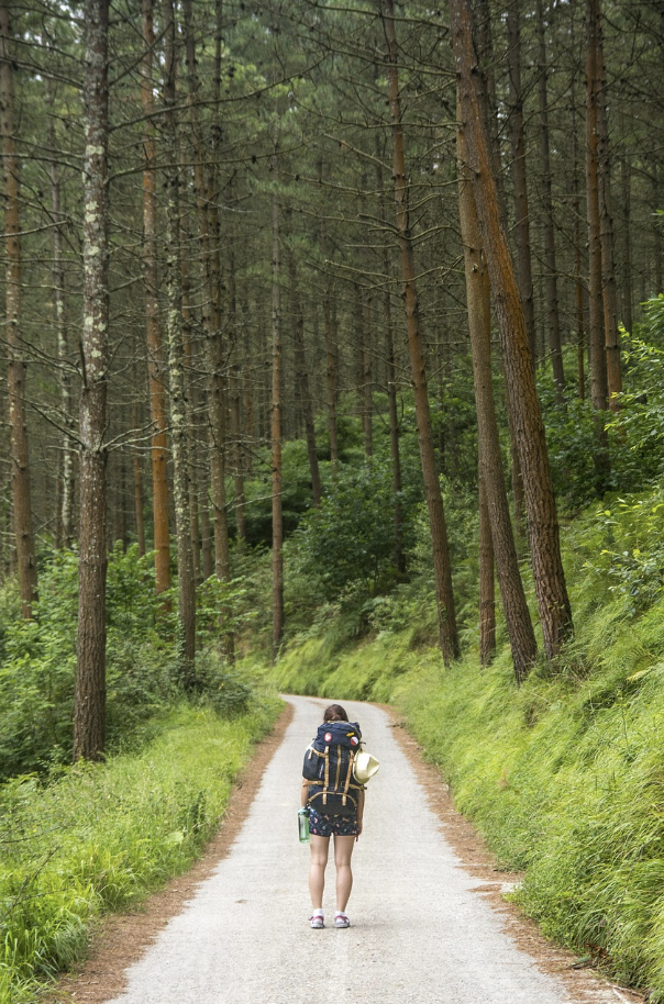 해외 트레킹 관련 사진