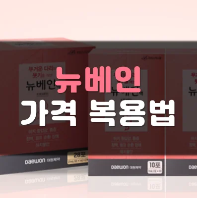 뉴베인-가격