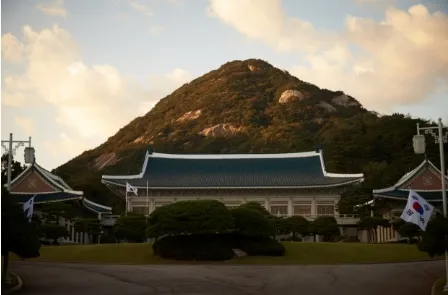 청와대 관람신청-오후