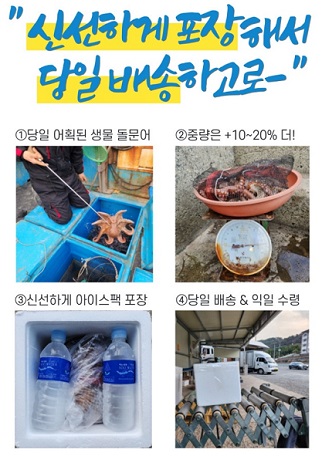 돌문어-택배-주문