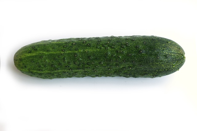 운동후 오이나 바바나가 좋아