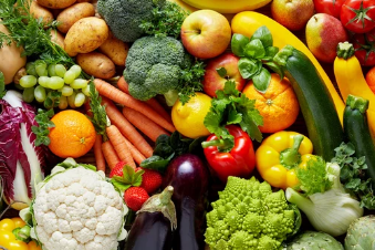 강아지와 감자/출처:어도비스톡