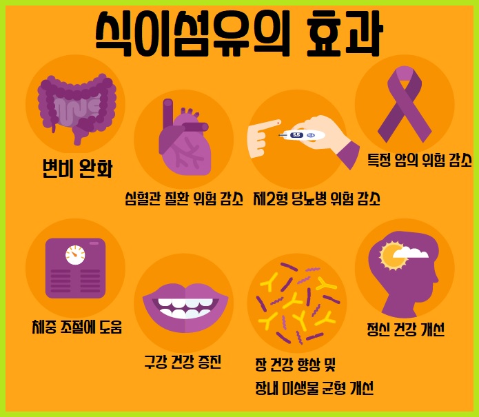 식이섬유 효과