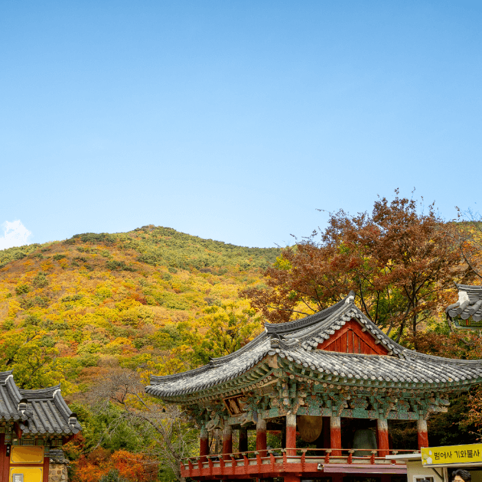 단풍이-물든-산자락-범어사