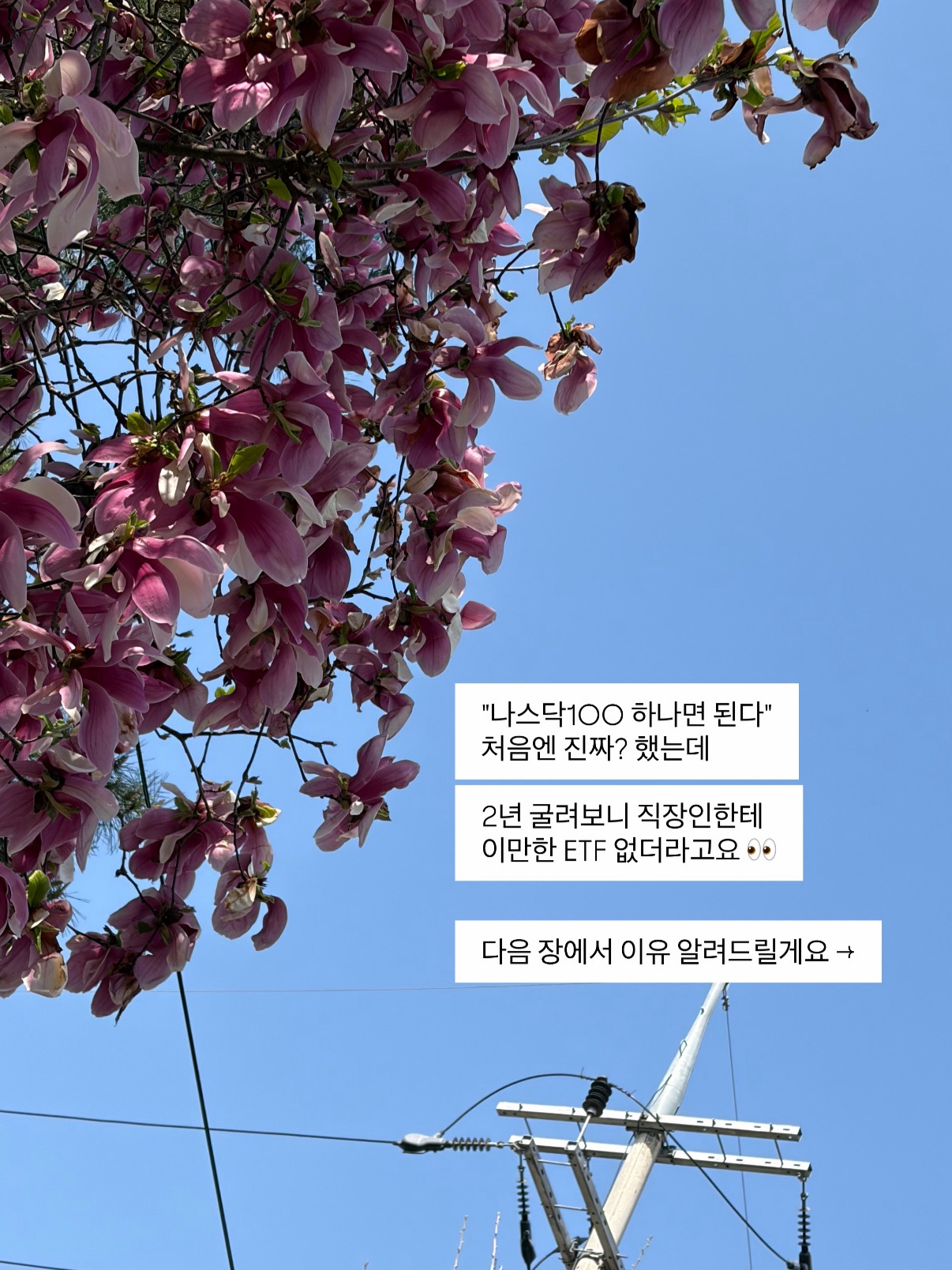 KODEX 미국나스닥100 ETF, ISA 계좌에서 사는 법과 내가 45% 담은 이유