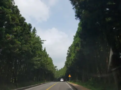 제주도-가을여행