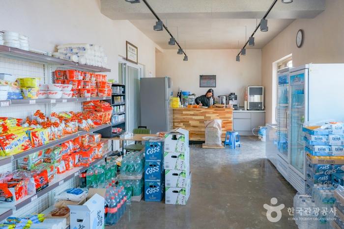 2024 섬 수선화 축제 기본 일정과 소개