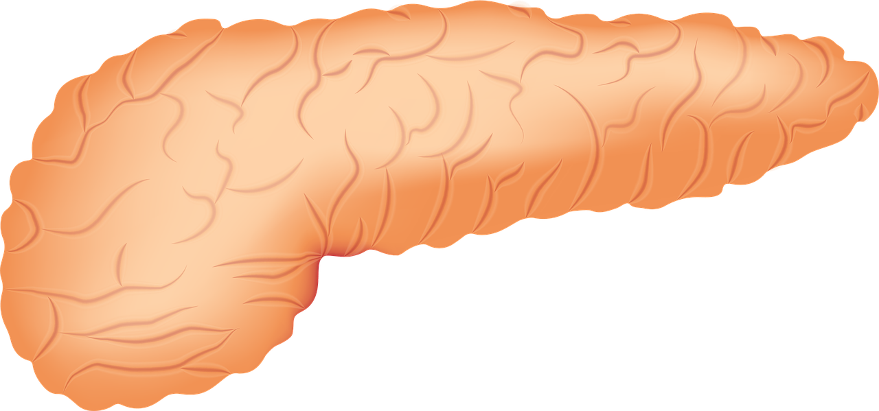 자극성 장 증후군