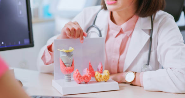 갑상선 기능 항진증 증상, 수치, 검사 총정리 (2024ver)