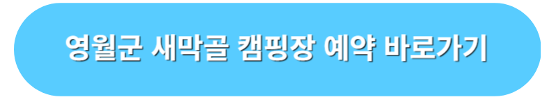 영월군 새막골 캠프 예약 바로가기