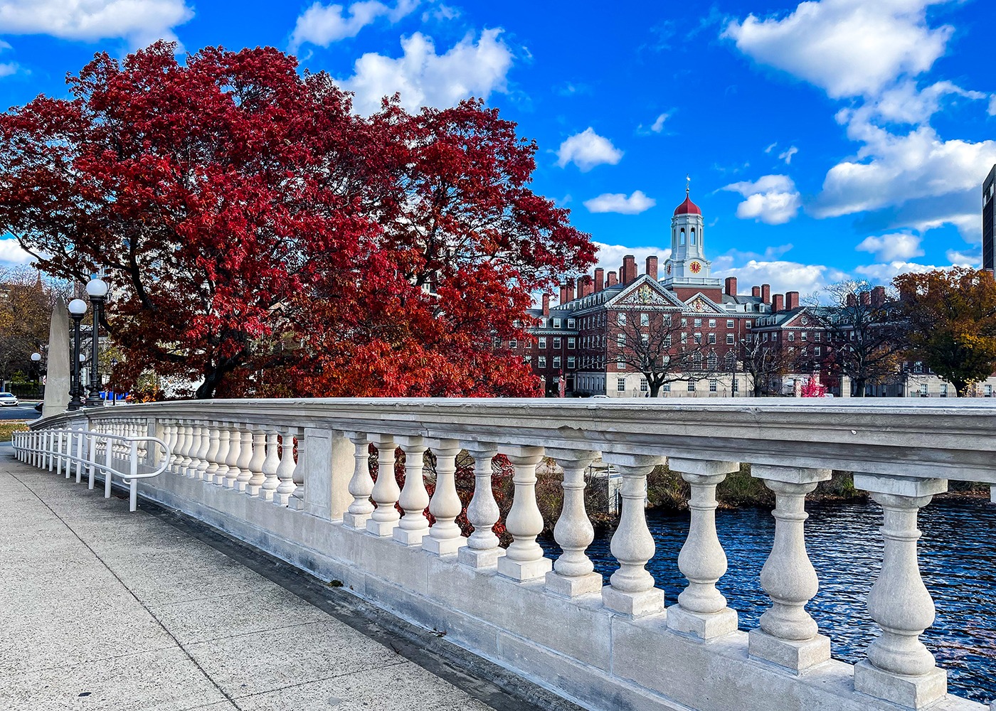 QS세계대학 하버드 HarvardUniversity 하버드야드 존하버드