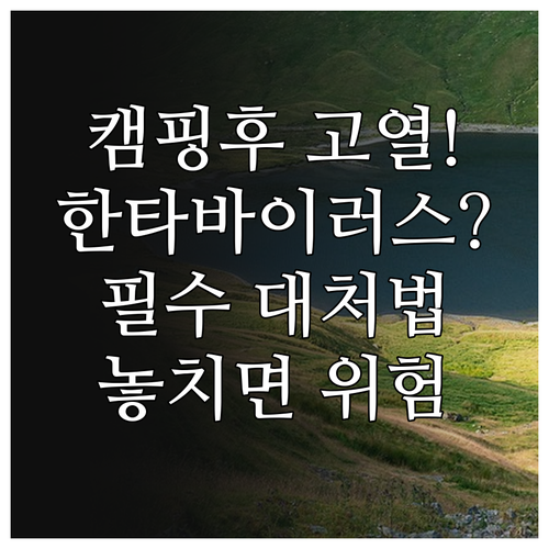 캠핑 후 나타나는 한타바이러스 의심 ..