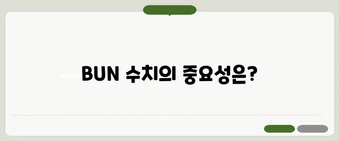 bun 수치 의미 높으면 신장부터 의심
