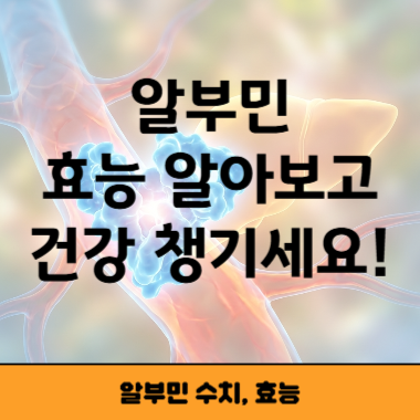 알부민 썸네일