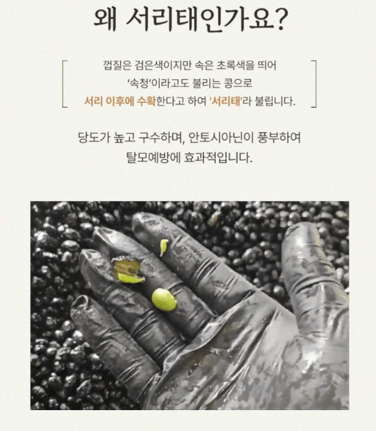 6시내고향 서리태뻥튀기 뱅쇼키트