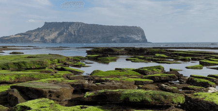 제주속으로 렌트카 가격비교사이트 체크사항