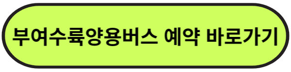 부여수륙양용버스