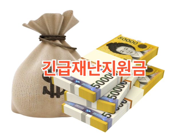 긴급재난지원금