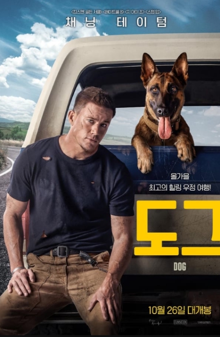 도그 영화