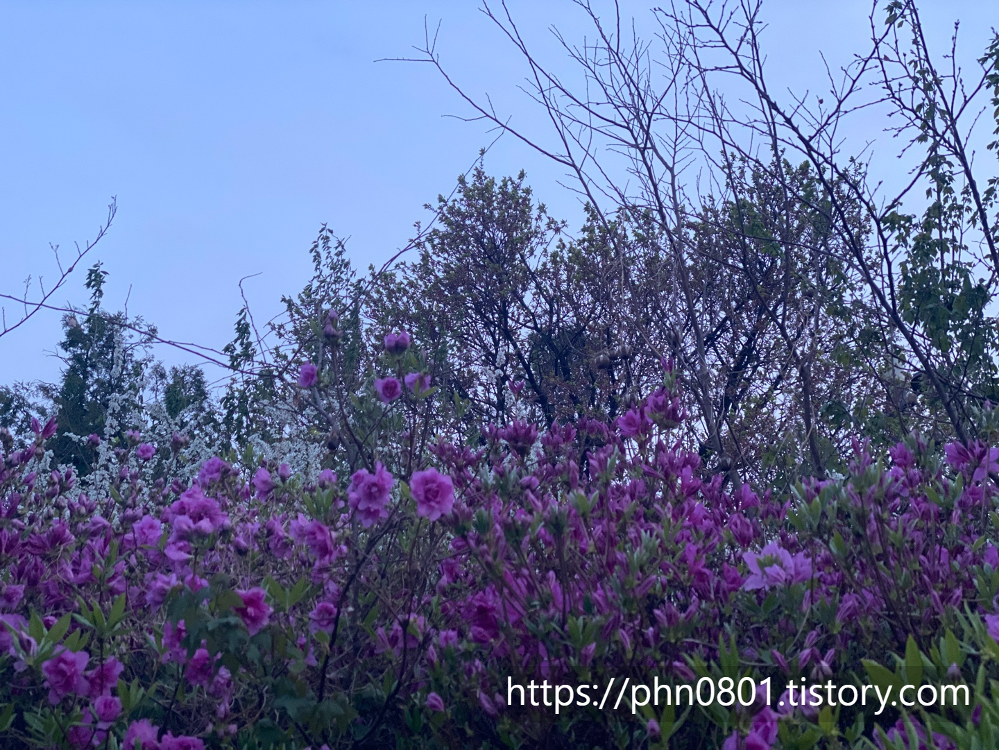 Alt 속성 문제 해결 설명 이미지