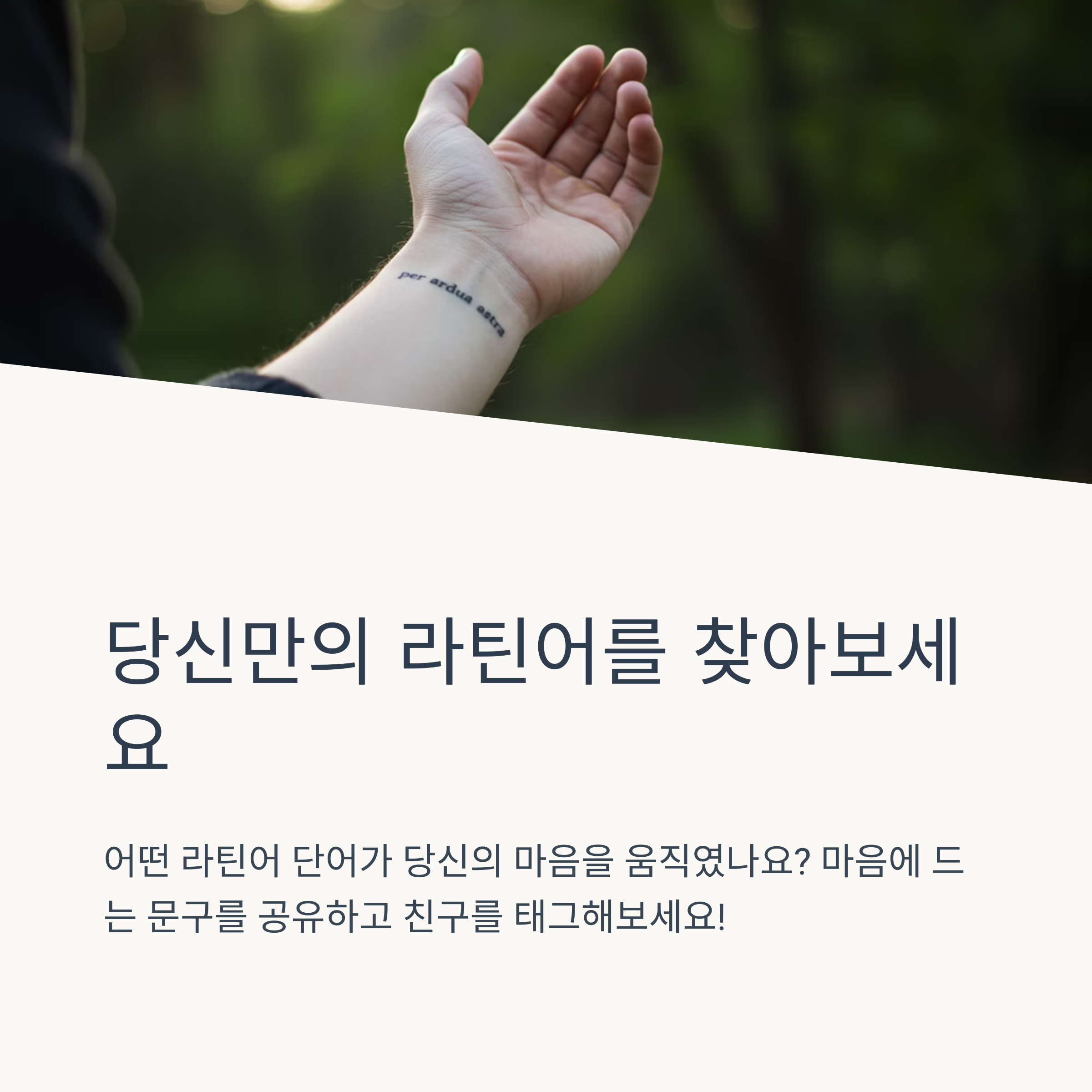 라틴어는 혼자 공부해도 괜찮을까요?
