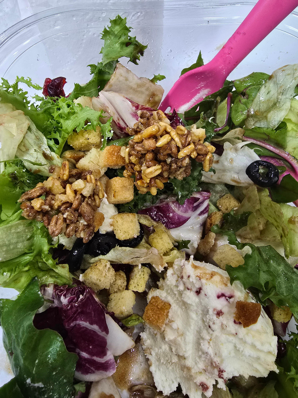 그래놀라 하우스 파로이츠6