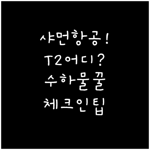 샤먼항공 인천공항 제2터미널 위치 수..