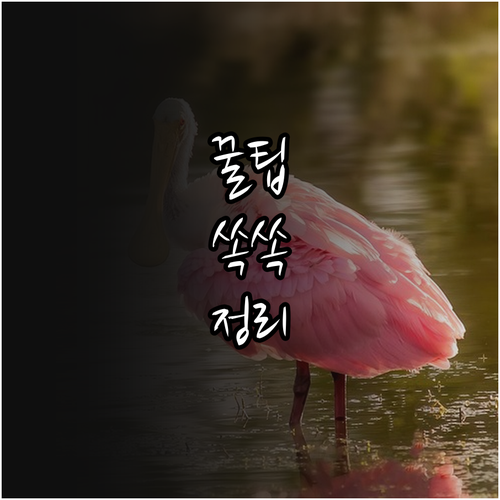 새 출발 축하 2025 의왕시 혼인신..