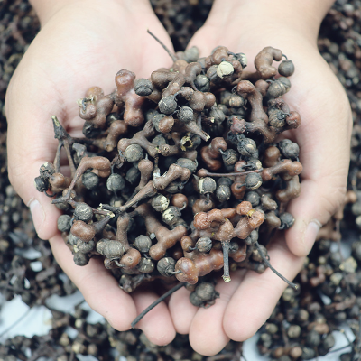 헛개나무 효능 부작용 숙취에 최고입니다.